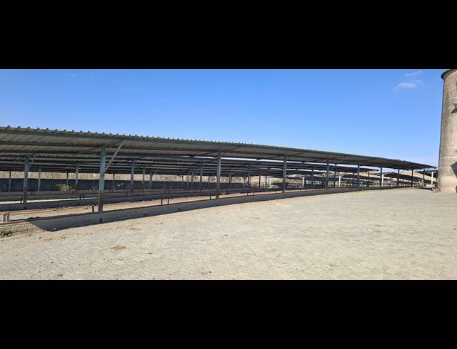 252HA FARM FOR SALE IN BETHLEHEM RURAL